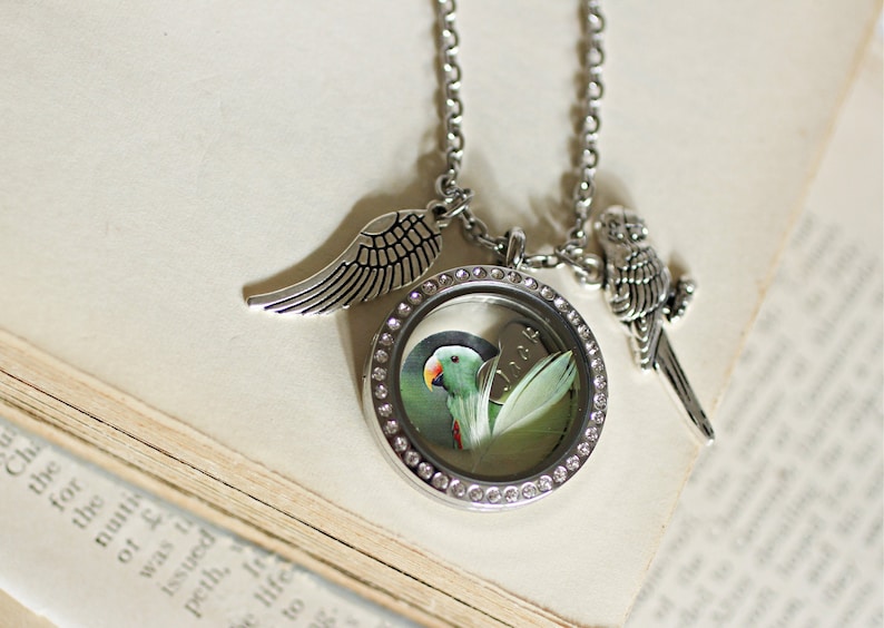 Parrot Necklace, Pet Bird Memorial Necklace, Parrot Memorial Feather Keepsake, Memorial Jewelry, Bird Urn, Green Cheek Conure Necklace Ashes image 3