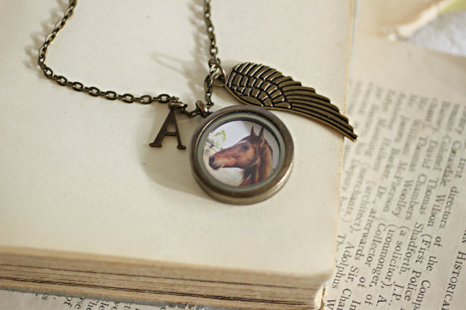 Horse Hair Jewelry Horse Hair Keepsake Horse Hair Memorial Etsy Australia