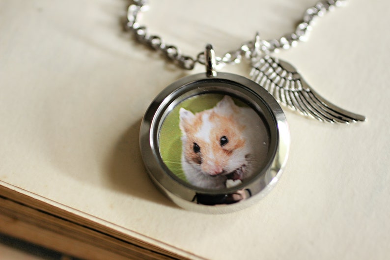 Guinea Pig Keepsake Hamster Lover Gift Pet rat memorial gift Pet Loss Necklace Cremation Jewelry Pet Hamster Necklace Keepsake Locket