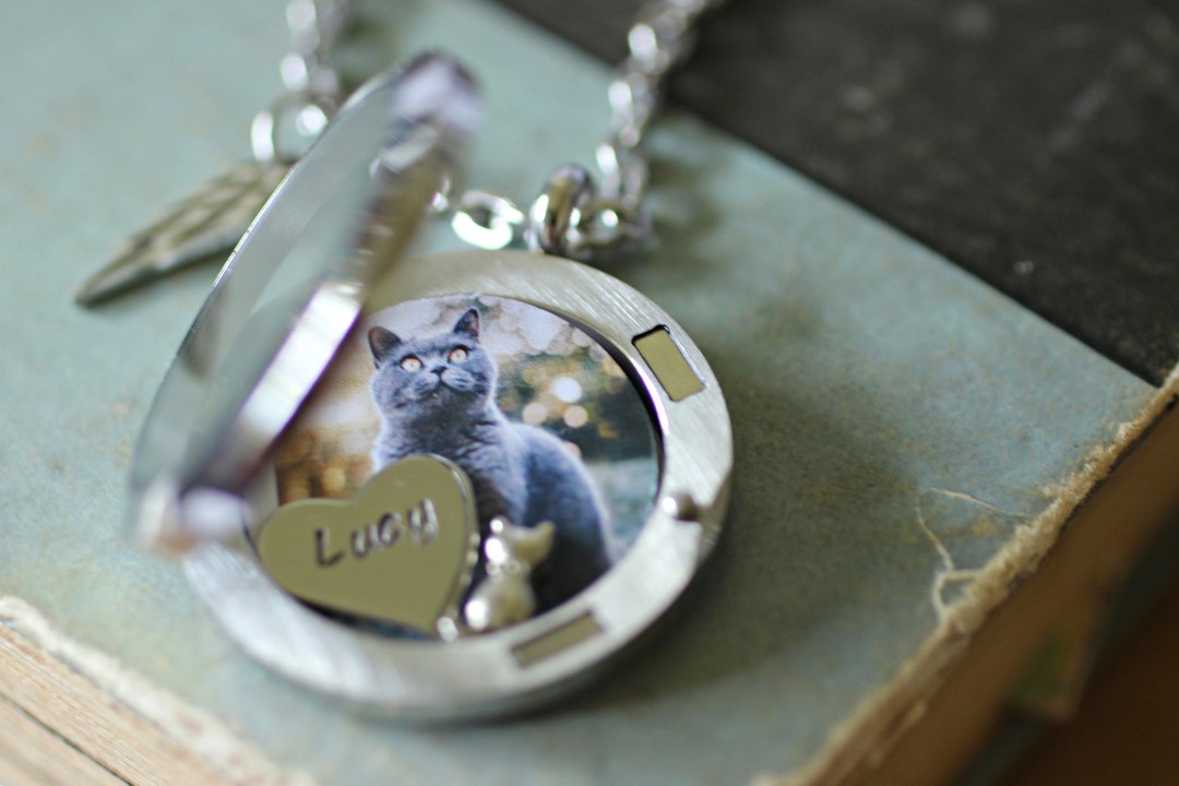 Cat Memorial Necklace, Locket Necklace With A Photo, Cat Fur Keepsake