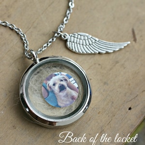 Pet Memorial Gift, Pet Hair Memorial, Memorial Necklace, Pet loss Gifts, Dog Hair Keepsake, Memorial Jewelry, Locket Necklace With Photo image 3