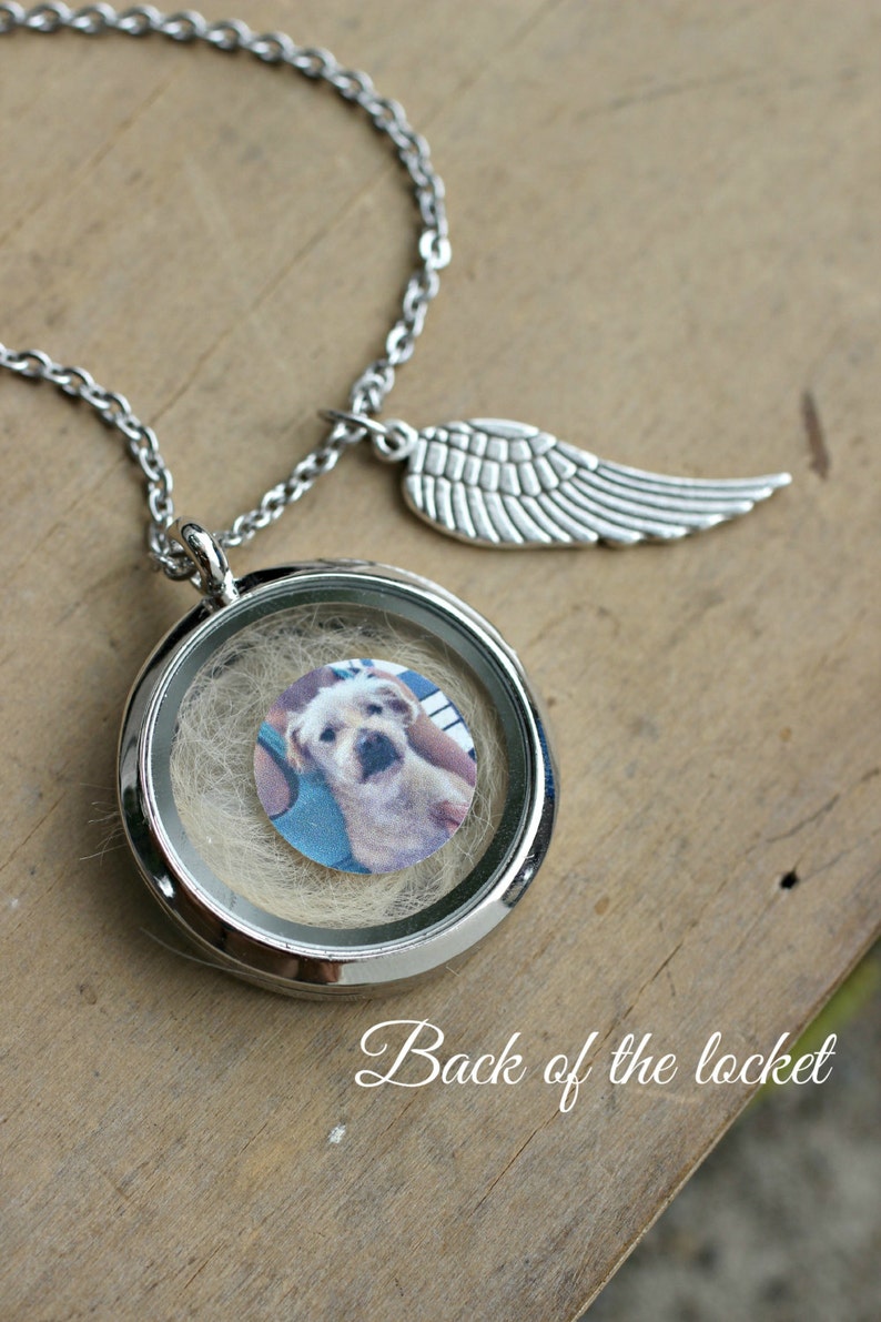 Pet Memorial Gift, Pet Hair Memorial, Memorial Necklace, Pet loss Gifts, Dog Hair Keepsake, Memorial Jewelry, Locket Necklace With Photo image 3