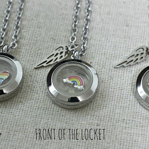 Pet Memorial Necklace: Stainless Steel Locket with Charm & Fur Keepsake