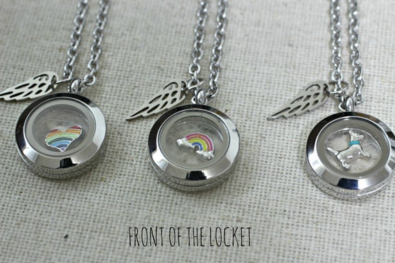 Pet Memorial Necklace: Stainless Steel Locket with Charm & Fur Keepsake
