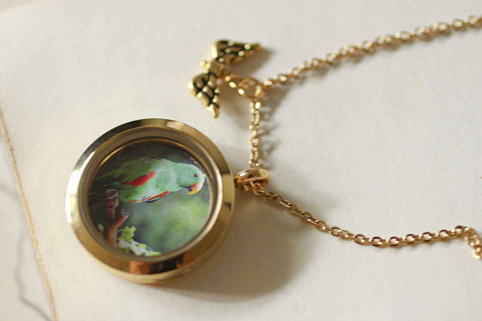 Pet Memorial Jewelry Pet Hair Keepsake Pet Loss Necklace Etsy