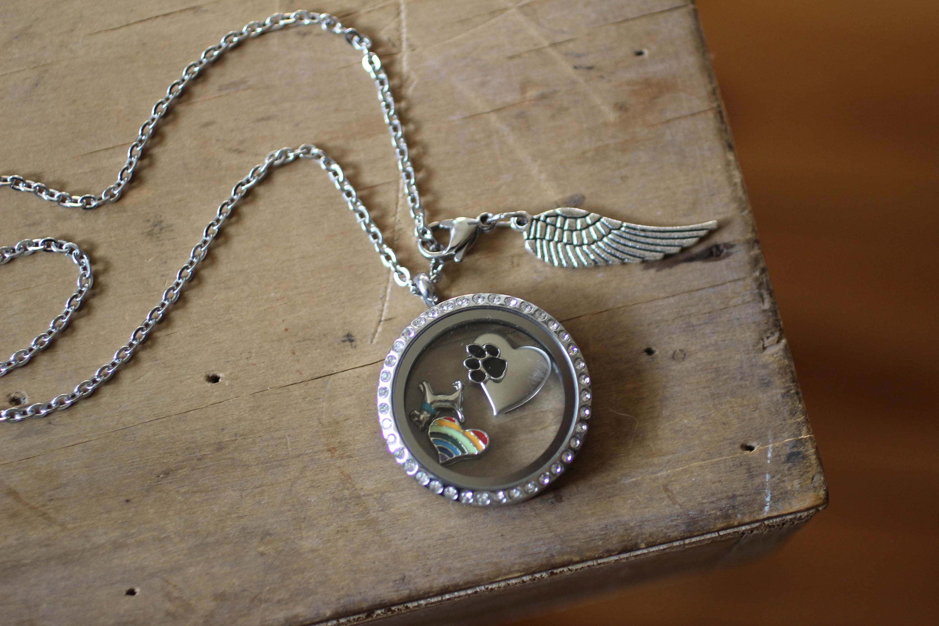 Pet Hair Locket Pet Hair Keepsake Pet Memorial Jewelry Dog Etsy Israel