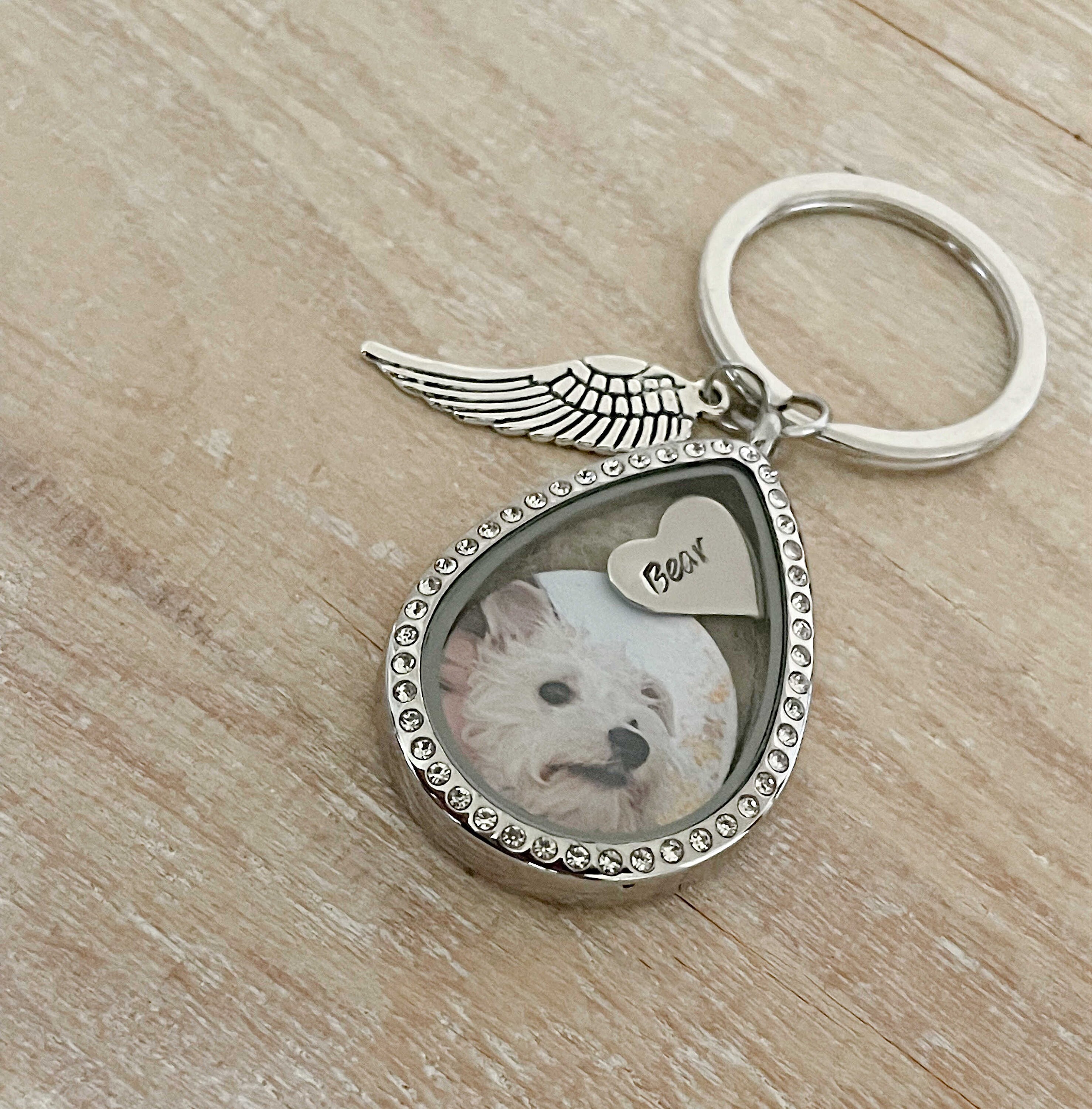 Pet Hair Memorial Keychain: Personalized Locket Keyring With Photo ...