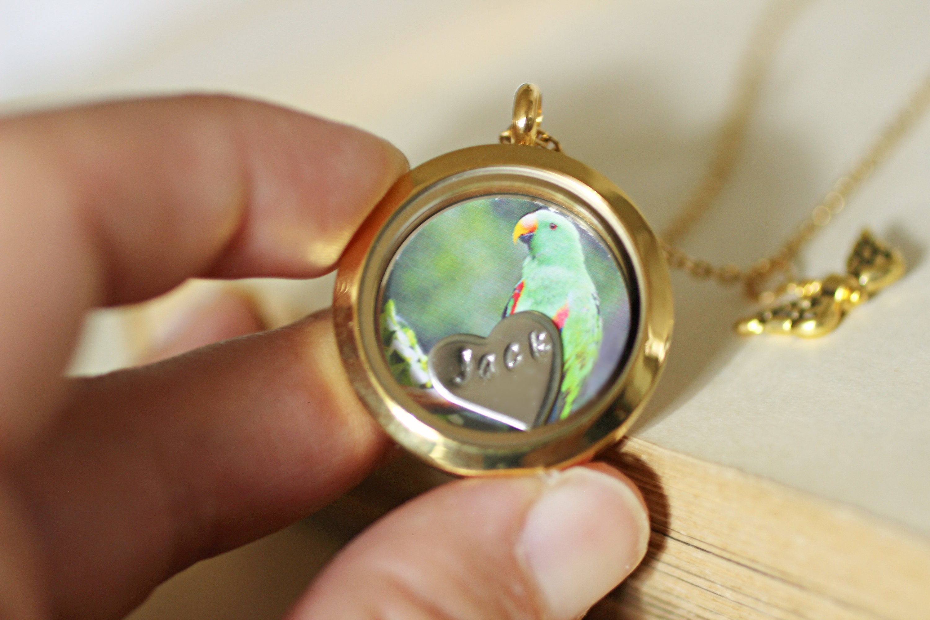 Pet Memorial Jewelry Pet Hair Keepsake Pet Loss Necklace Etsy