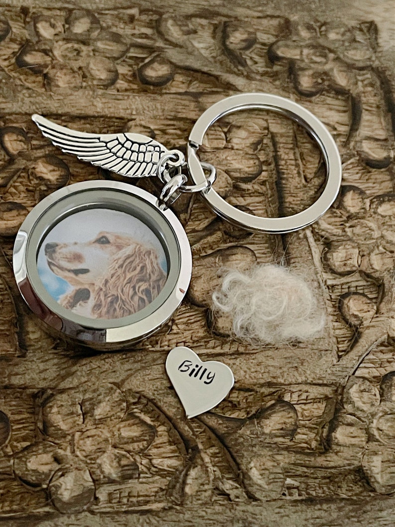 Pet Loss Gifts, Pet Memorial Keyring, Pet Hair Keepsake, Memorial Jewelry Keychain, Pet Fur Memorial, Dog Hair keepsake, Cat Key Ring image 3