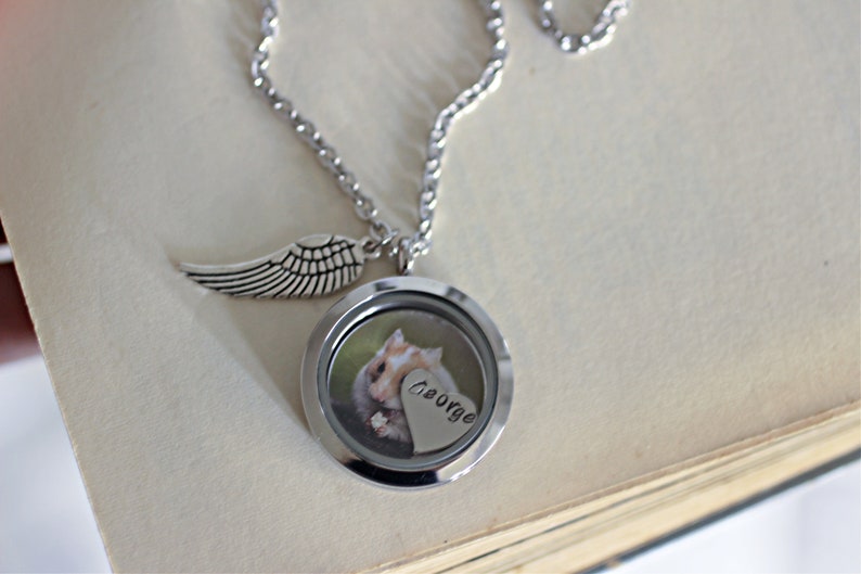 Guinea Pig Keepsake Hamster Lover Gift Pet rat memorial gift Pet Loss Necklace Cremation Jewelry Pet Hamster Necklace Keepsake Locket