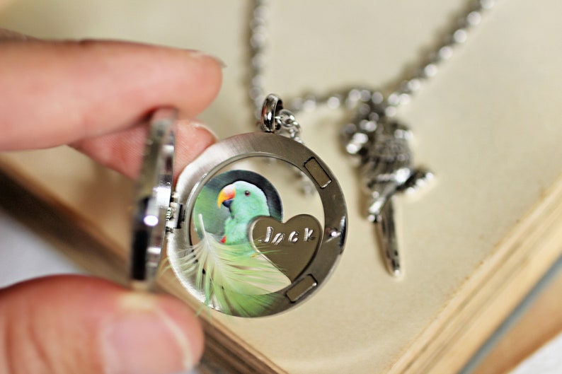 Parrot Necklace, Pet Bird Memorial Necklace, Parrot Memorial Feather Keepsake, Memorial Jewelry, Bird Urn, Green Cheek Conure Necklace Ashes image 2