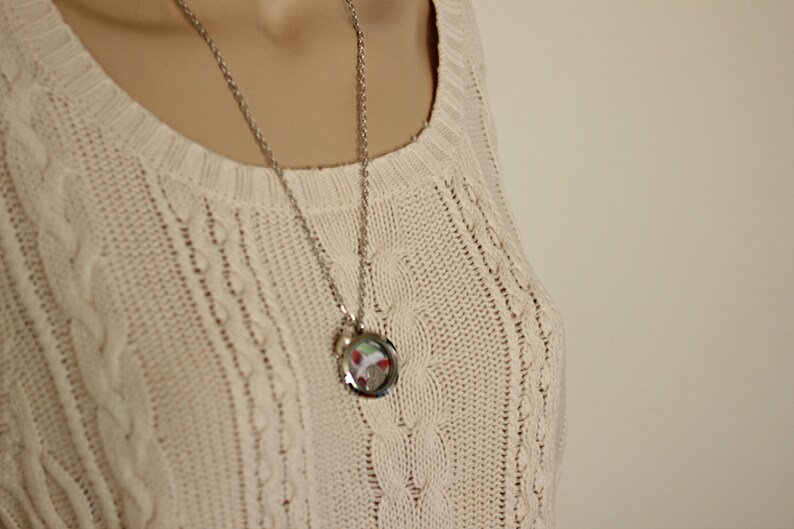 Guinea Pig Keepsake Hamster Lover Gift Pet rat memorial gift Pet Loss Necklace Cremation Jewelry Pet Hamster Necklace Keepsake Locket