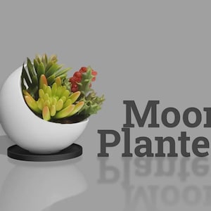 Maanvormige plantenpot met drainagegat | Zwart-witte 3D-geprinte plantenpot | Moderne maanvormige plantenpot | Succulentenpot | Kamerplantendecoratie | 15 cm