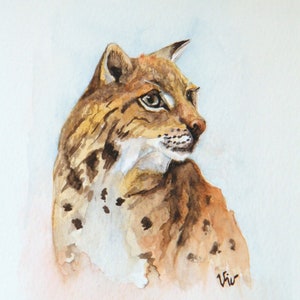 Lynx Painting,  Original watercolor of a Eurasian Lynx,  Postcard size cat illustration by Vivienne Edwards