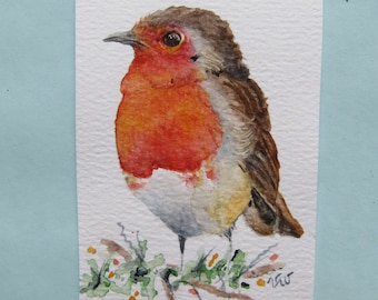 Robin ACEO,  original watercolor,  small backyard bird,  perfect gift for gardeners