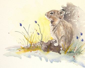 Original Pika Painting,  8 X 10 inch watercolor wild life art suitable for a child's room.