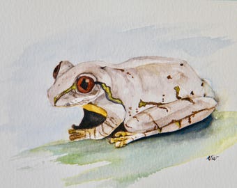 Watercolor Tree Frog,  original painting,  4 x 6 inch art, by Vivienne Edwards