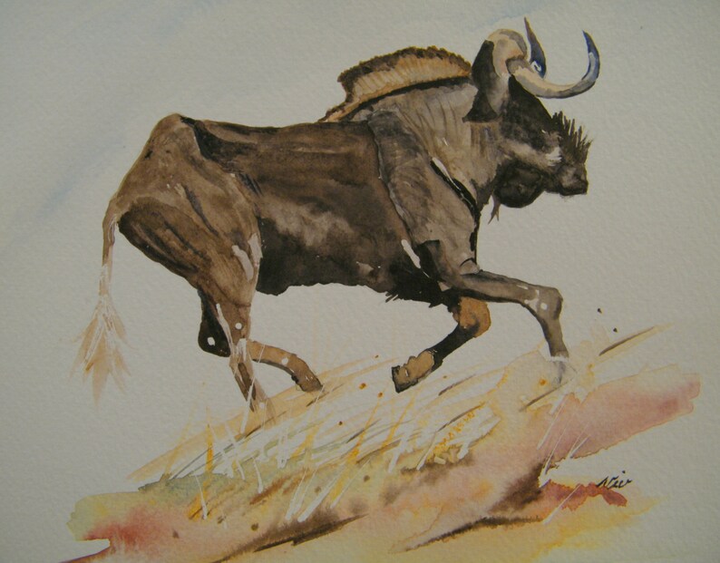 small realistic original watercolor wildlife illustration Wildebeest painting