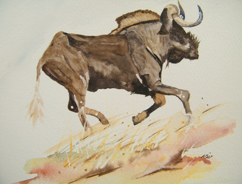 small realistic original watercolor wildlife illustration Wildebeest painting