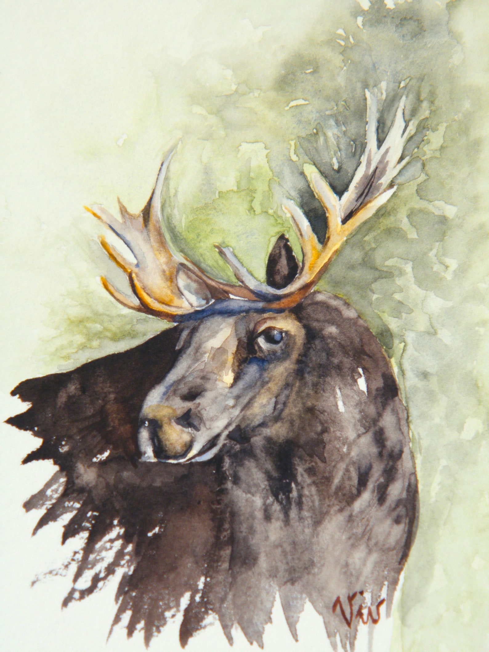 Elch Malerei Original Aquarell Post-Karte Größe Kunst | Etsy