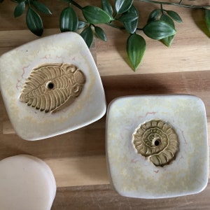 May include: Two square, off-white ceramic coasters with fossil designs. One features a trilobite, the other an ammonite. The fossils are a light brown colour, and the coasters have a speckled, aged appearance. Green leaves are in the background.