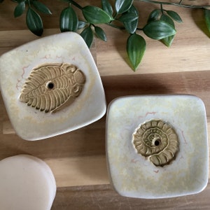 Handmade stoneware pottery Square fossil shampoo or Soap dish white trilobite ammonite