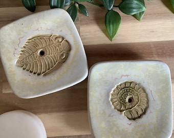 Handmade stoneware pottery Square fossil shampoo or Soap dish white trilobite ammonite