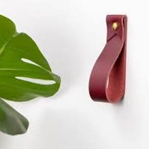May include: A deep burgundy leather loop handle secured with a single brass-toned metal rivet. The strap is folded into a U-shape, creating a functional pull for cabinetry or drawers, mounted against a plain white surface next to a green leaf.