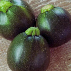 Puede incluir: Tres calabacines redondos de color verde oscuro con piel lisa y moteada, y tallos de color verde claro. Cada verdura tiene una forma esférica y bulbosa con una textura firme, mostrando variaciones naturales de color desde verde intenso a tonos claros.