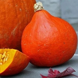 Peut inclure: Une courge orange vif en forme de goutte avec un pédoncule texturé de couleur claire, placée à côté d'une grosse citrouille ronde orange et d'une tranche de courge révélant des graines et de la chair jaunes, avec une feuille violet foncé.