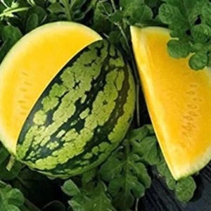 Könnte beinhalten: Eine gelbfleischige Wassermelone mit einer dunkelgrün und hellgrün gestreiften Schale. Die Frucht ist aufgeschnitten und zeigt das leuchtend gelbe Innere mit einer glatten, saftigen Textur. Ein separates Stück der gelben Wassermelone liegt daneben.