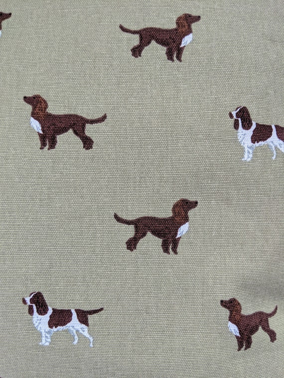 extra large cat tunnel