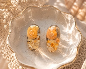Real seashell stud earrings