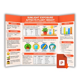Puede incluir: Un tablero de presentación de proyectos científicos de tres paneles titulado Sunlight Exposure Affects Plant Height. El tablero incluye secciones para Pregunta, Hipótesis, Resumen del proyecto, Variables, Materiales, Procedimiento, Datos, Resultados y Conclusión.