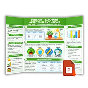 Może przedstawiać: Trójdzielna tablica projektu naukowego zatytułowana Sunlight Exposure Affects Plant Height. Zawiera sekcje dotyczące pytania, hipotezy, przeglądu projektu, zmiennych, materiałów, procedury, danych, wyników, wniosków i źródeł.