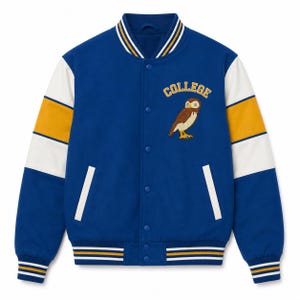 Blue Owl Varsity Jacket, Embroidered Letterman Bomber, College Jacket