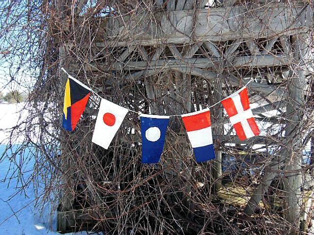 Beistle Nautical Flag Banner - 12x23 Feet, 20 Flags, All-Weather Plastic For Indoor/Outdoor Parties