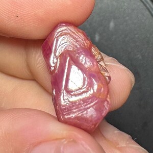 25.6ct Record Keeper Pink Ruby Crystal Raw Corundum Specimen Luc Yen