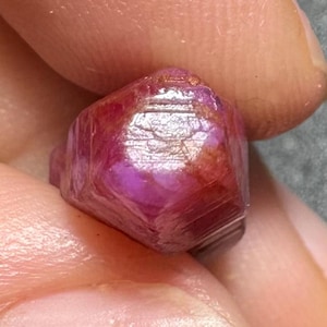 May include: A raw, hexagonal ruby crystal with a deep magenta and red coloration. The gemstone features a translucent, faceted-like natural surface with visible internal inclusions and a polished, reflective top section showing light refraction.