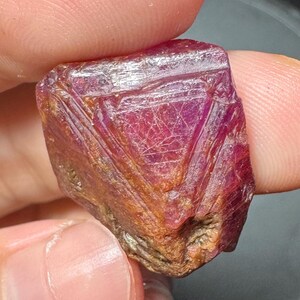 45.7ct Huge Natural Raw Pink Ruby Record Keeper Crystal Corundum Specimen Luc Yen