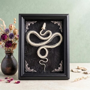 May include: A black rectangular frame containing a white snake skeleton mounted on a black background with an embossed floral pattern. The frame features silver-toned decorative corner accents. The skeleton is positioned vertically in the centre.