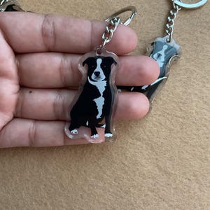 May include: A clear acrylic keychain featuring a printed illustration of a black and white dog sitting down. The dog has a black coat with a white chest, white muzzle, and white paws. The keychain includes a silver metal chain and a split ring.