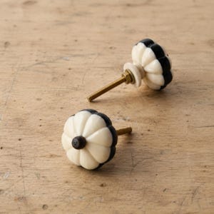 May include: Two round cabinet knobs featuring a fluted, pumpkin-like shape with alternating cream and black segments. Each knob has a central dark dot and a gold-toned metal screw post extending from the back for mounting purposes.