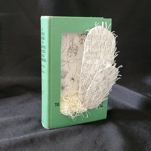 Scultura del libro di cactus