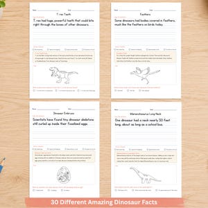 May include: Four educational dinosaur-themed worksheets on white paper. Each page features a title, a sentence to copy, a writer's checklist, a fact box, a line-art dinosaur illustration, and a multiple-choice question about T. rex, feathers, embryos, and Mamenchisaurus.