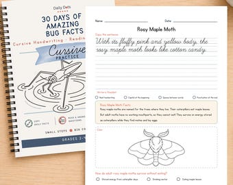 Könnte beinhalten: Ein spiralgebundenes Arbeitsheft mit dem Titel 30 Days of Amazing Bug Facts und einer Schreibübungsseite über den Rosy Maple Moth. Die Seite enthält einen Satz zum Abschreiben, eine Checkliste, Fakten zum Falter, eine Strichzeichnung und eine Auswahlfrage.