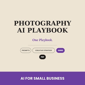 May include: A digital document cover titled PHOTOGRAPHY AI PLAYBOOK with the subtitle One Playbook. It features buttons labeled PROMPTS, CREATIVE STRATEGY, GUIDE, and PDF. The bottom section is a purple bar with the text AI FOR SMALL BUSINESS.