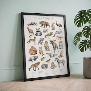 Watercolor Animal Alphabet Poster, Museum Quality Frame, Educational Nursery Wall Art