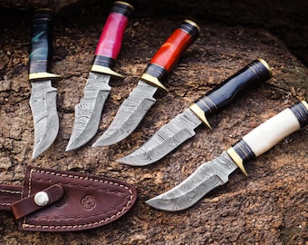 May include: Five fixed-blade knives with Damascus steel blades, brass bolsters, and multi-colored resin handles in green, pink, red, black, and white, accompanied by a brown leather sheath with a silver snap button closure.