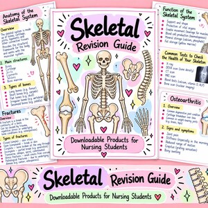 Pode incluir: Um cartaz educativo Skeletal Revision Guide com uma ilustração central de um esqueleto humano, rodeado por diagramas anatómicos de ossos, articulações e segmentos da coluna vertebral. O texto inclui Anatomy of the Skeletal System e Osteoarthritis.